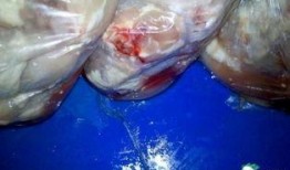 吃鸡皮肤返厂爆料最新,吃鸡皮肤返厂大揭秘，全新设计即将亮相！